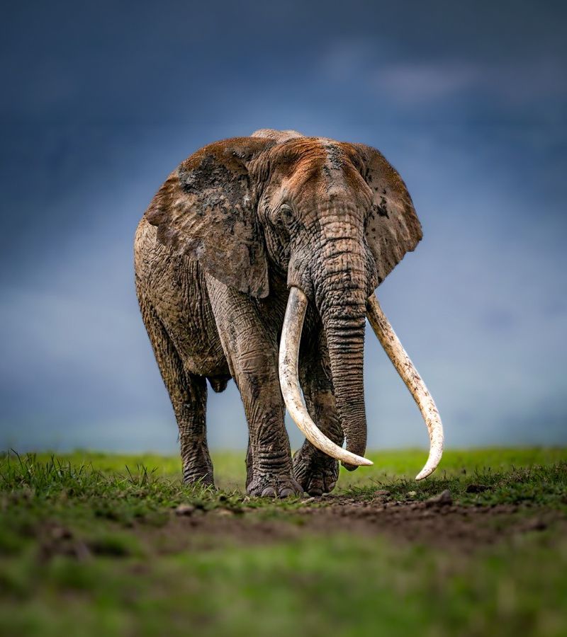 Tanzania — Expedition Story