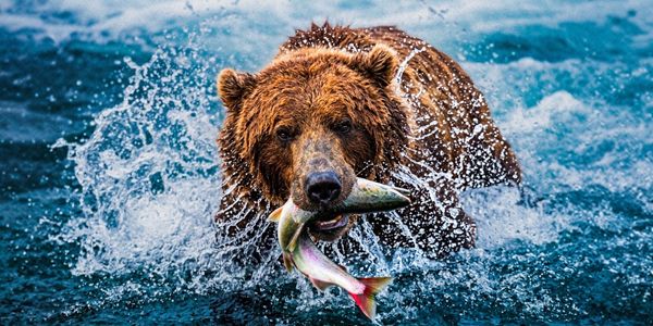 Alaska — Expedition Story