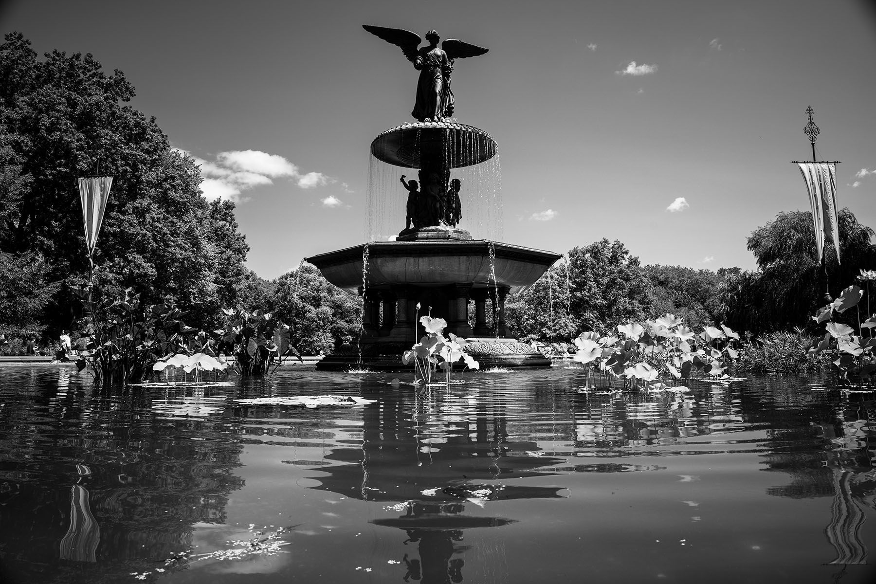 Central Park, New York City — cinematic B&W