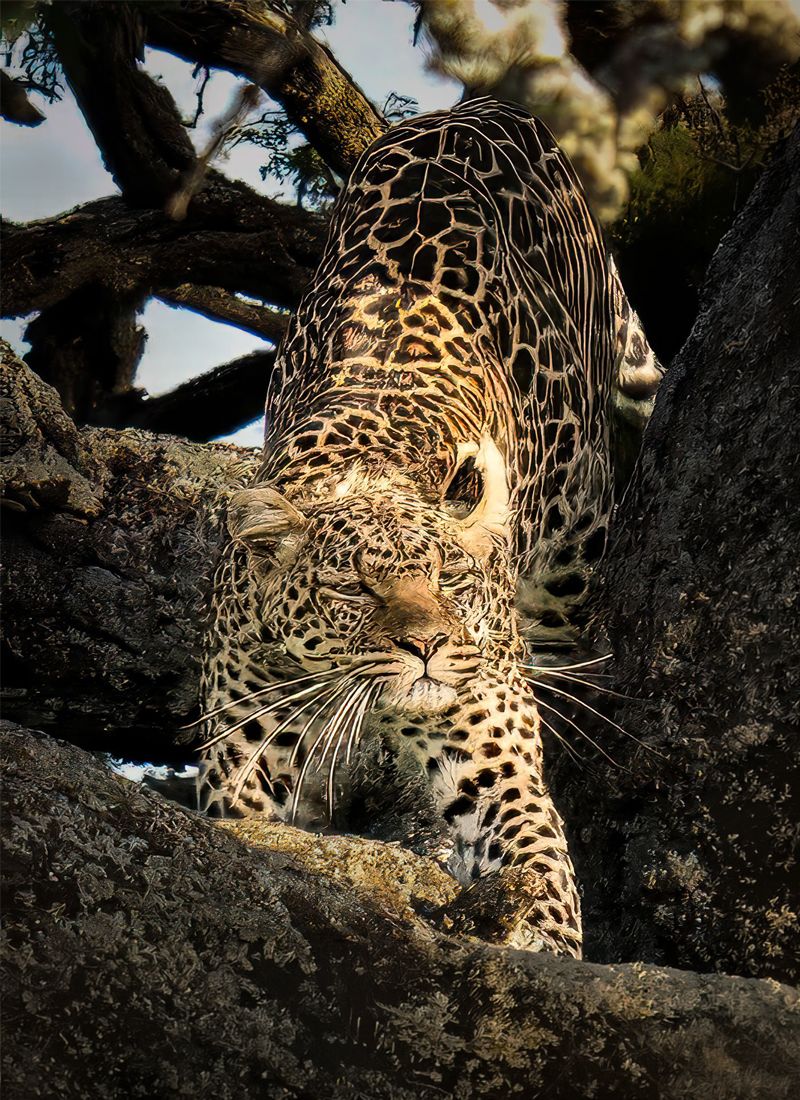 Tanzania