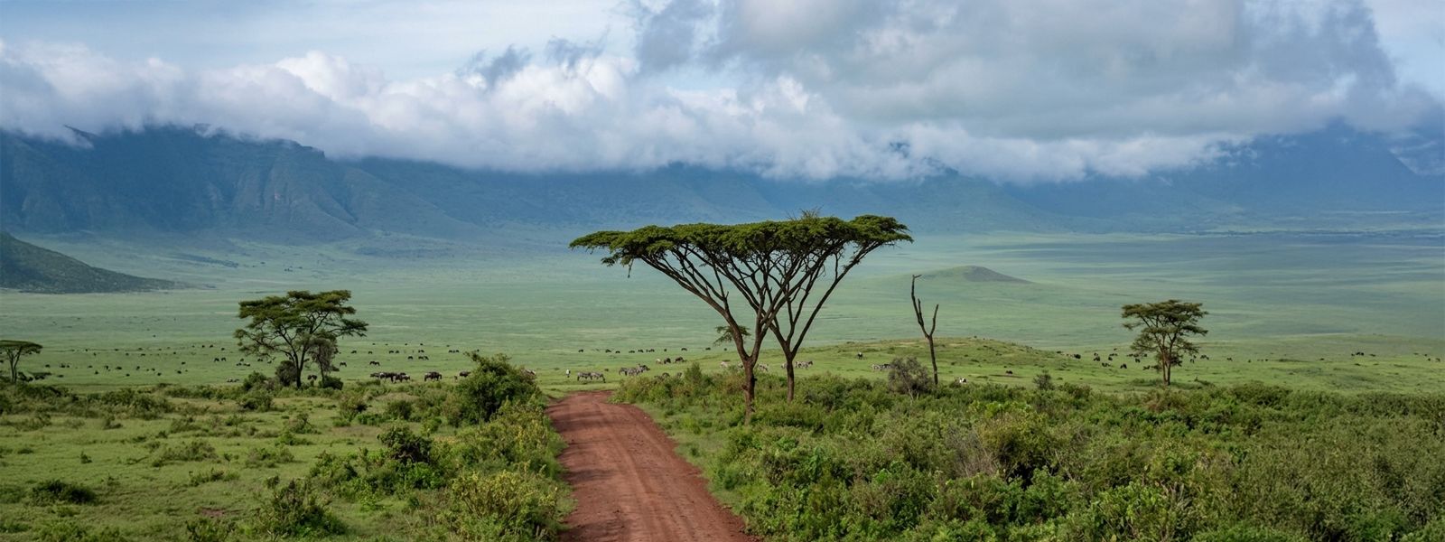 Ngorongoro Crater from the rim, Tanzania