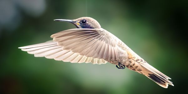 Ecuador — Expedition Story