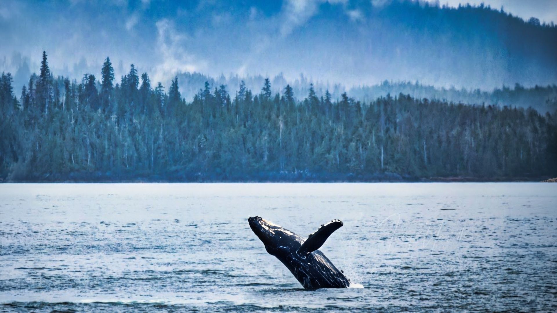 Juneau, Alaska