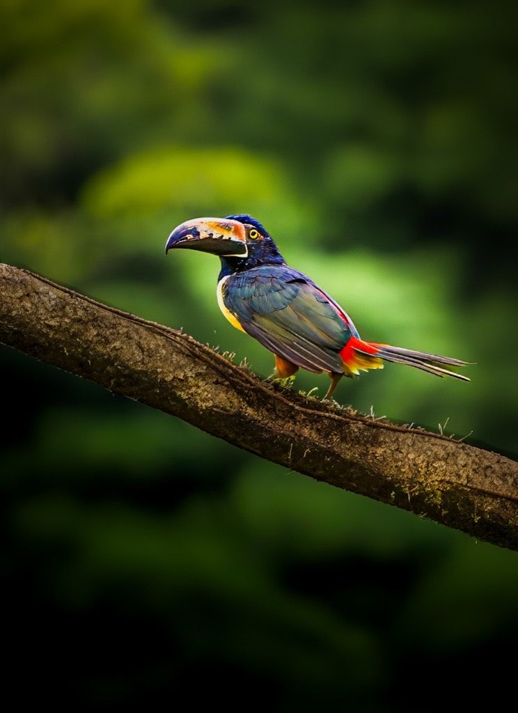 Ecuador